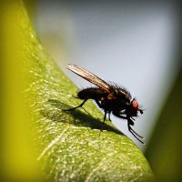 /album/greeeeen/photolia-a04-jpg/