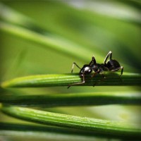 /album/greeeeen/photolia-a05-jpg/