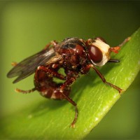 /album/greeeeen/photolia-a06-jpg/