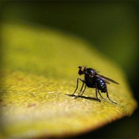 /album/greeeeen/photolia-a07-jpg/