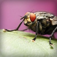 /album/greeeeen/photolia-a08-jpg/